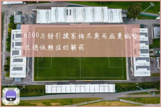 6500万镑引援塞梅尼奥或成曼城哈兰德依赖症的解药