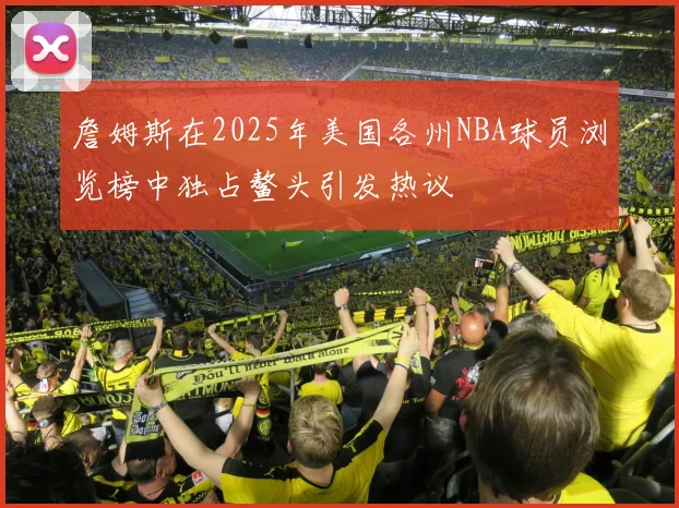 詹姆斯在2025年美国各州NBA球员浏览榜中独占鳌头引发热议