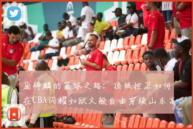 庞峥麟的篮球之路：顶级控卫如何在CBA闪耀如欧文般自由穿梭山东高速