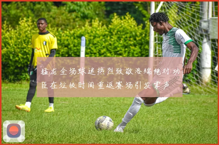 猛龙全场球迷热烈致敬洛瑞绝对功臣在垃圾时间重返赛场引发掌声