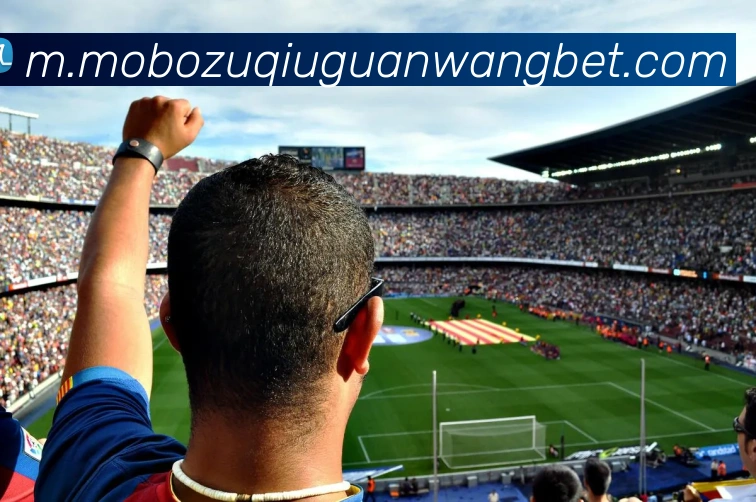 摩博体育平台生态图