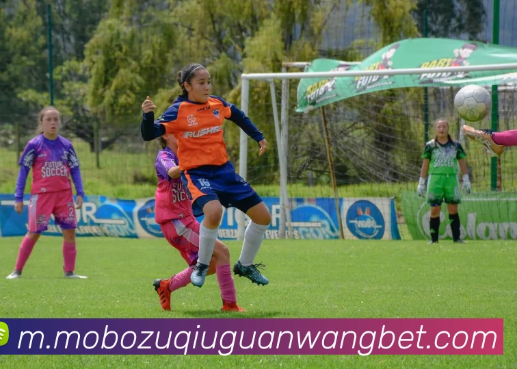 摩博体育全站App